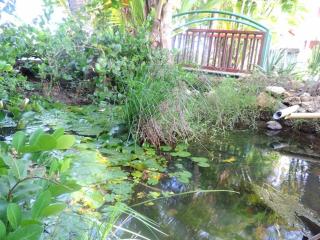 Domaine de Lauréal - Gîte F3 - Le Moule - 5