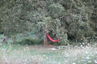 Gîte écologique avec vue Forêt & Vallée Dordogne ! - Bétaille - 2