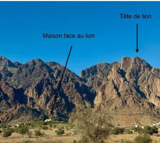 Maison Face au lion - Tafraout - 8