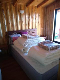 Cabaña Tres Espinos Alto - Valdivia - 1