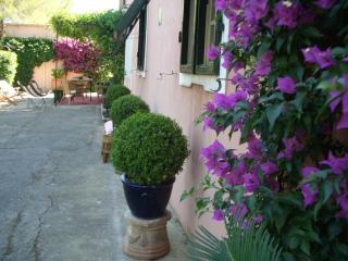 Villa Casa Rosa - Procchio - 9