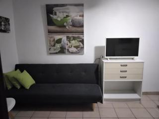 Grand T2 avec piscine privative - 8