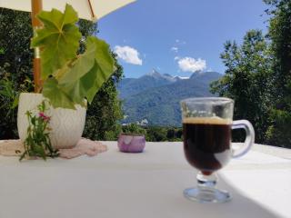 Acogedora cabaña en el bosque, acceso vehiculos 4x4 - 7