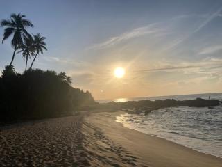 Margosa villa - Tangalle - 1