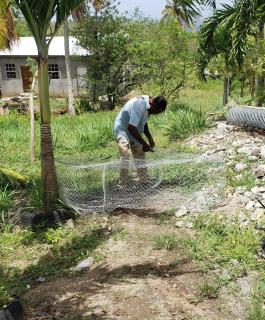 The Local Experience - Kalbas Suite - Choiseul - 1