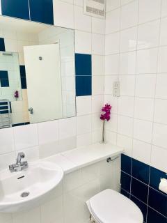 Large self-contained cozy studio - 5