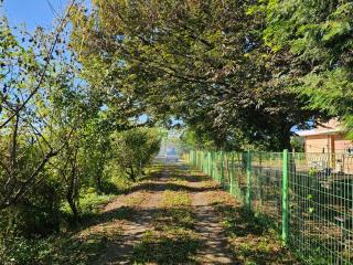 Dangjin Wangmaesil Village - 5