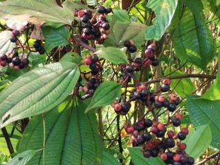 Posada Las Peñitas - 7