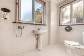 Cingjing Morning Star - 1