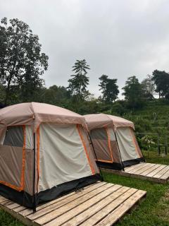 Dewi Camp - The Valley House Ci Dwi Resort - Cicadas - 2