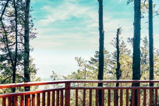 Mays Luxury Farmstay Yurt On Top - Los Gatos - 9
