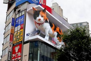 大久保駅から徒歩3分の2部屋貸し切り - Tokyo - 2
