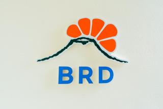 Backrokdam pension - 8