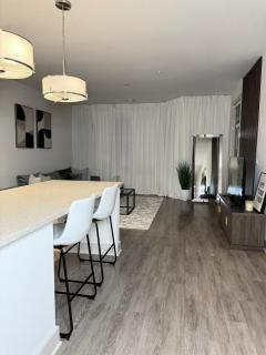 2 BR LUX Apartment In Raleigh - Raleigh - 9