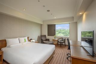 International Garden Hotel Narita - Narita - 7
