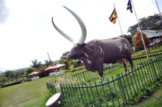 Igongo Country Hotel & Cultural Centre - 1