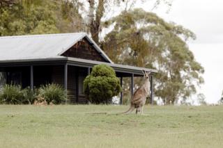 Palmers Lane Estate Hunter Valley - Pokolbin - 8