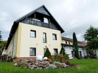 Ferienhotel Wolfsmühle - Rodishain - 4