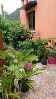 Hébergement-Joli T2-60m2-Terrasse-Jardin - Entre-Deux - 1