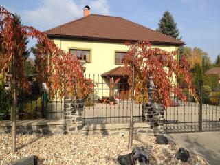 Penzion U Horských - Čáslav - 2