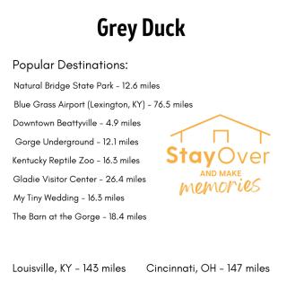 Grey Duck - Beattyville - 7