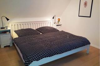 Insel-Reetkate auf Fehmarn - Fehmarn - 3