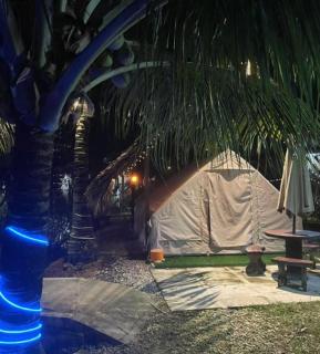 TK Coconut Camping - 1