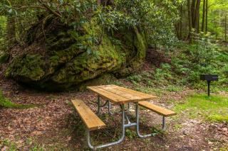 Cozy Creek - Rogers - 6
