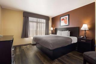 Quality Inn & Suites - Myrtle Beach - 2