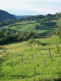 Poggio d'Incanto - Bettola - 2