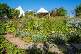 The Blomhuis Garden Apartments - McGregor - 6