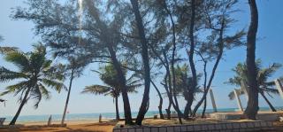 The La Mer Beach Resort - Gokarna - 9