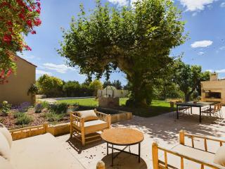 Mas Sainte Croix - Renovated old Provencal Mas - Fontvieille - 7