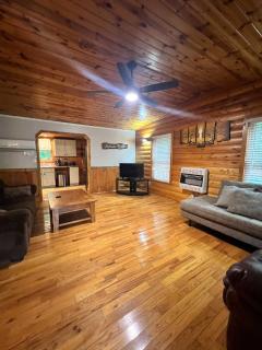 Eclectic Hillside Cabin - Rogers - 4