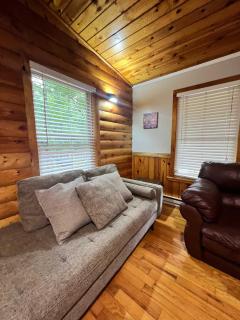 Eclectic Hillside Cabin - Rogers - 2