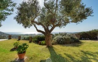 Villa Ibisco - Chia - 4