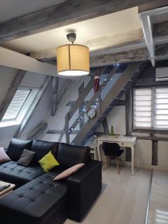 duplex aux portes de Strasbourg tram 100m - Schiltigheim - 7