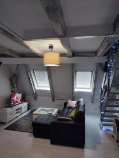 duplex aux portes de Strasbourg tram 100m - Schiltigheim - 0
