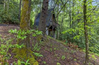 A-Frames Under the Canopy - Entire Property - 9