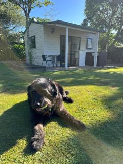 Guest house in Tahunanui - Nelson - 9
