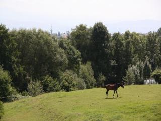 Ferienwohnungen Pano - 2