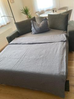Casa Suvita , Alpine Luxury Apartment Surselva - Flond - 5