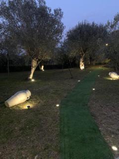 Tenuta degli Uliveti - 1