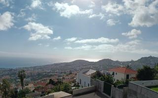 O CAMPO na CIDADE - Funchal - 2