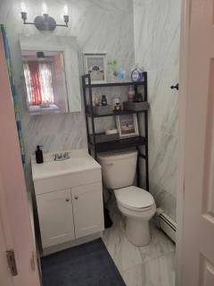 Brooklyn Penthouse Suite - Brooklyn - 6