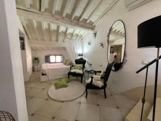 B&B Tuscany Lodge - Campiglia Marittima - 7