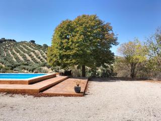 Casa el Castano - Martos - 8