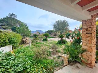 La campagne à 10 mn des plages et du centre ville de Cartagena - Cartagena - 9