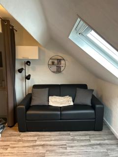 Magnifique studio - 9