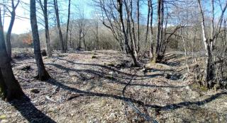 CASA Petra- tent - 7